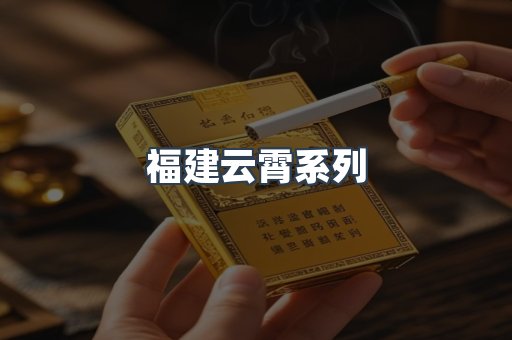 福建云霄系列
